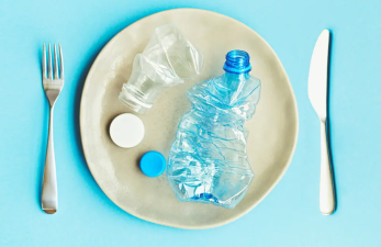 Should You Be Worried About Microplastics in Seafood?